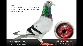 IMG_0394.PNG