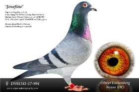 11555888-cb2a-4942-bd20-e688c035c614 (1).jpg